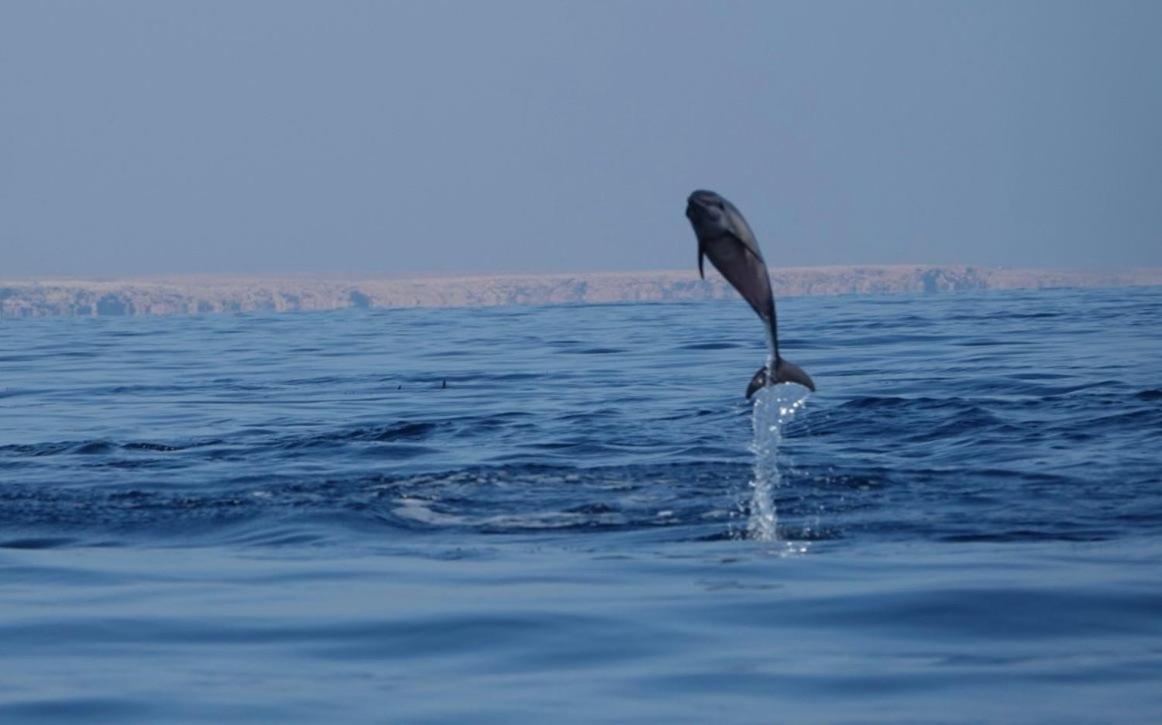 Salem Fish Guest House Ras al Hadd Esterno foto