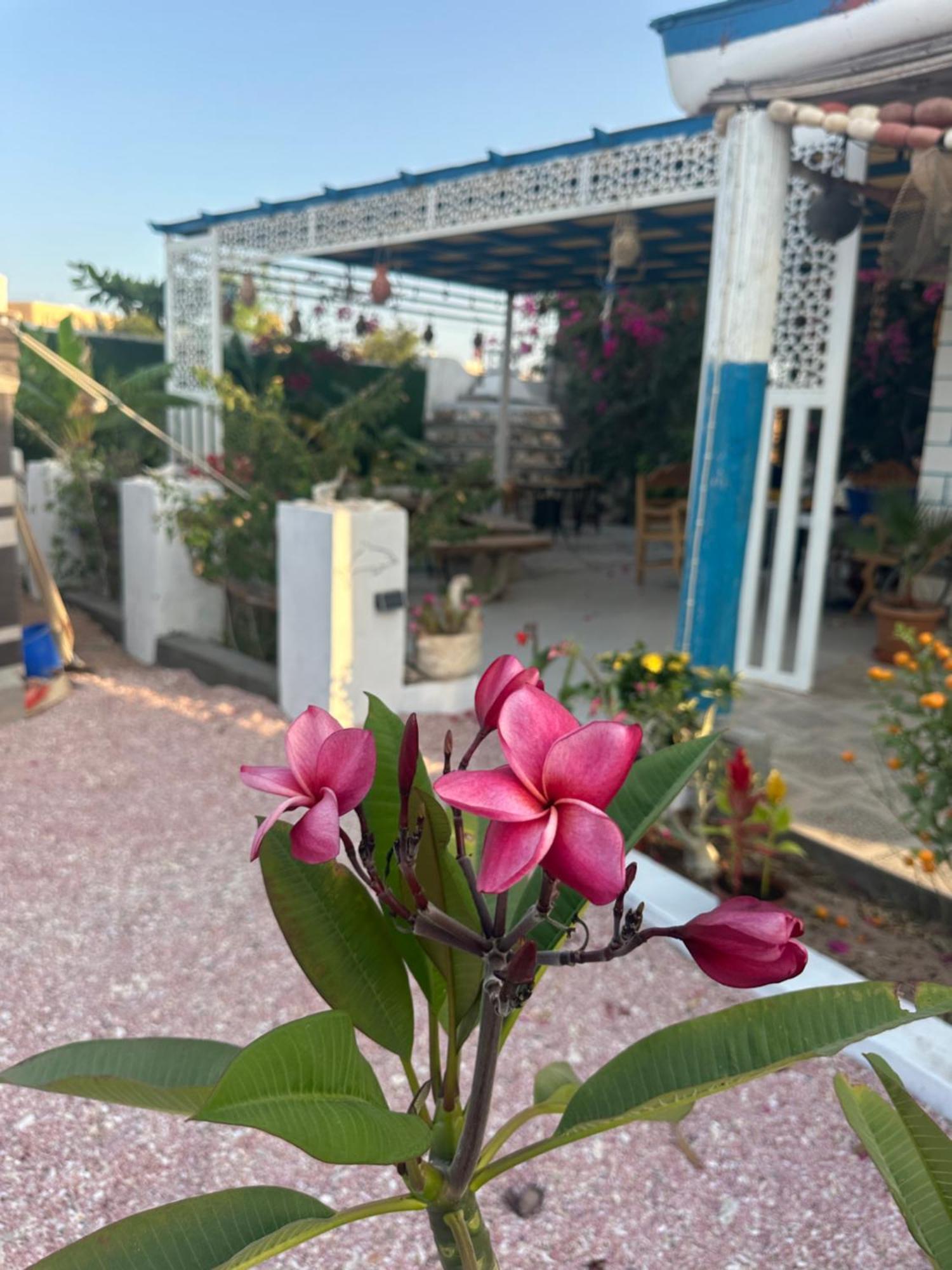 Salem Fish Guest House Ras al Hadd Esterno foto