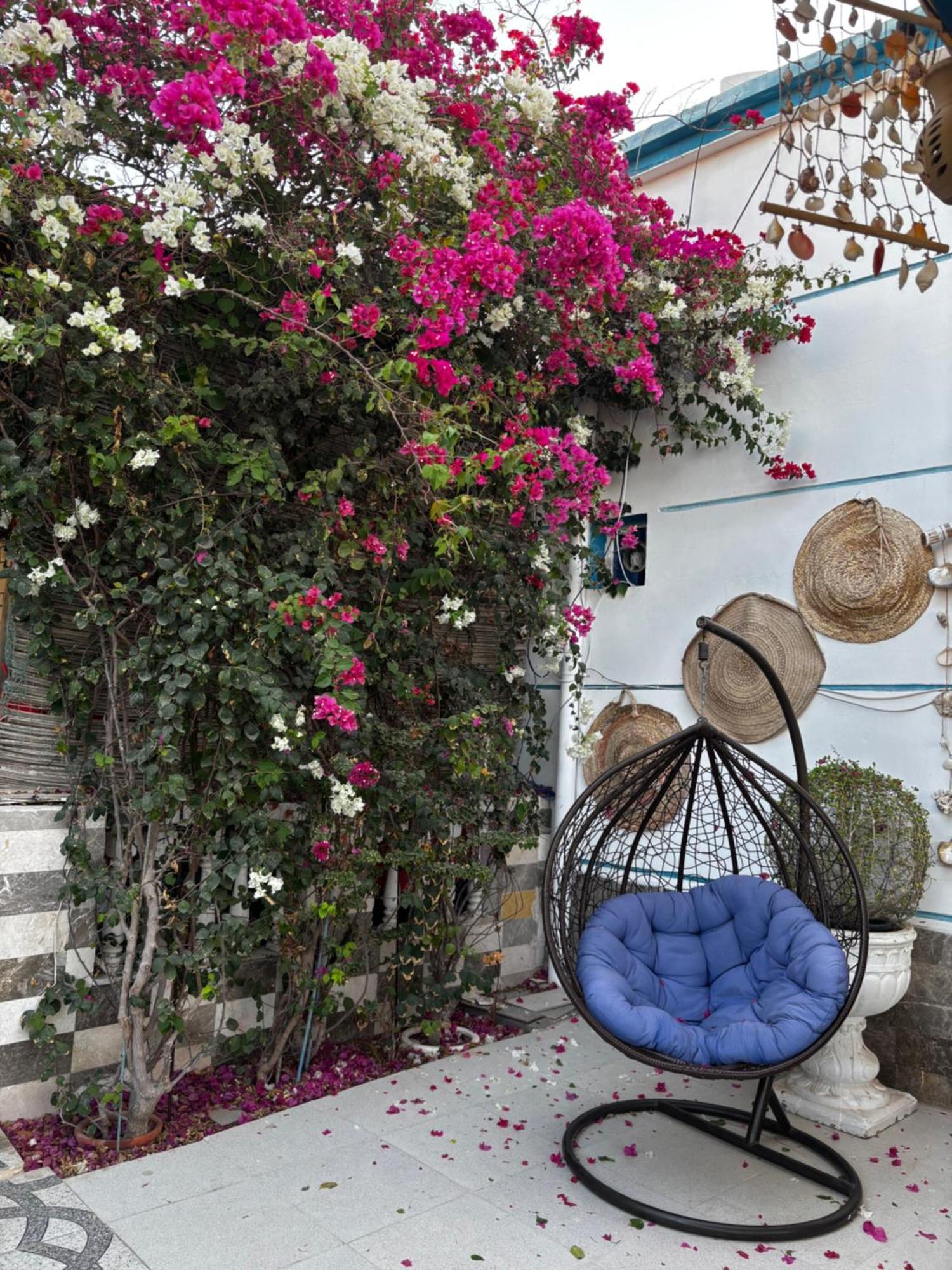 Salem Fish Guest House Ras al Hadd Esterno foto