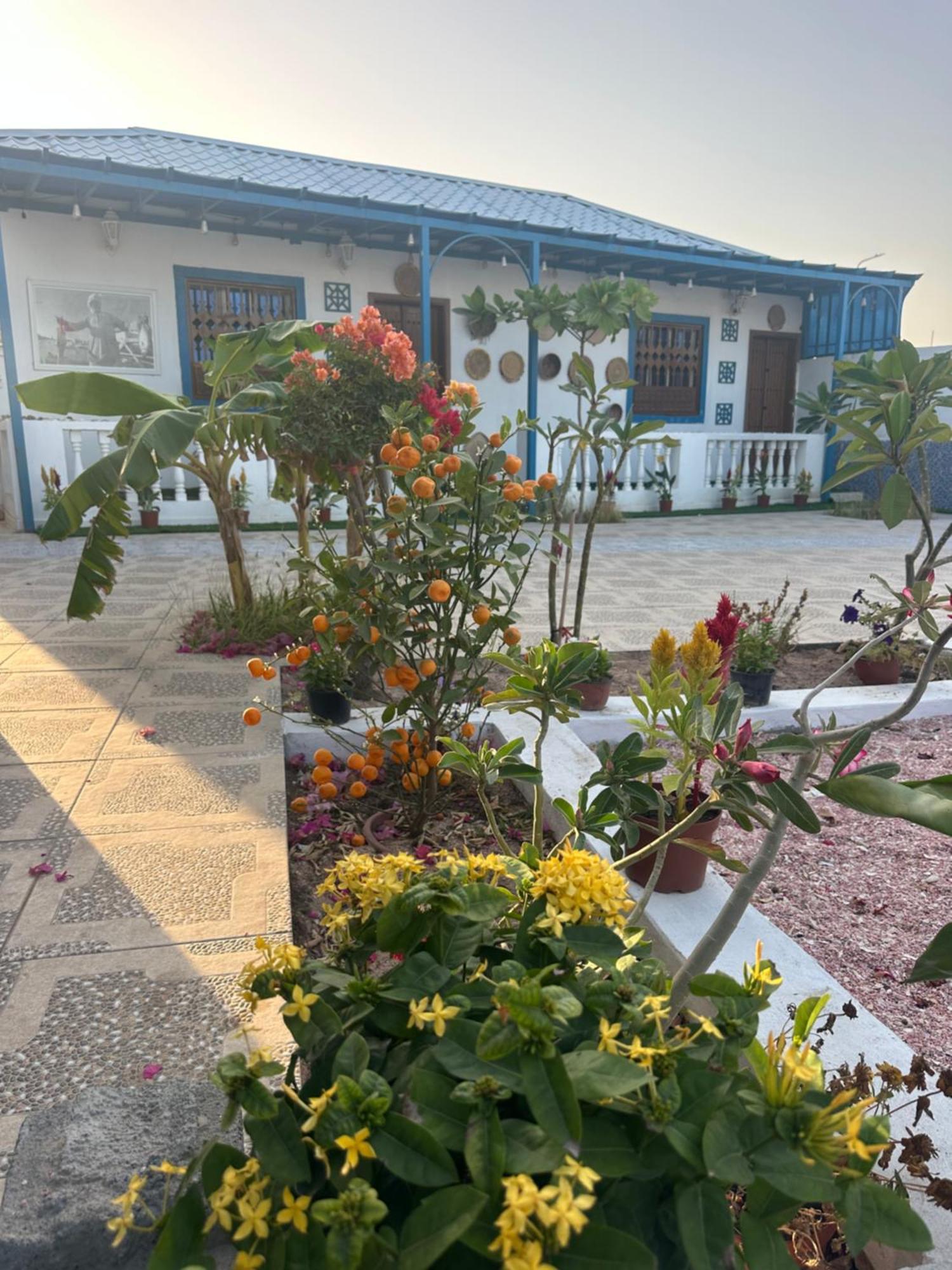 Salem Fish Guest House Ras al Hadd Esterno foto